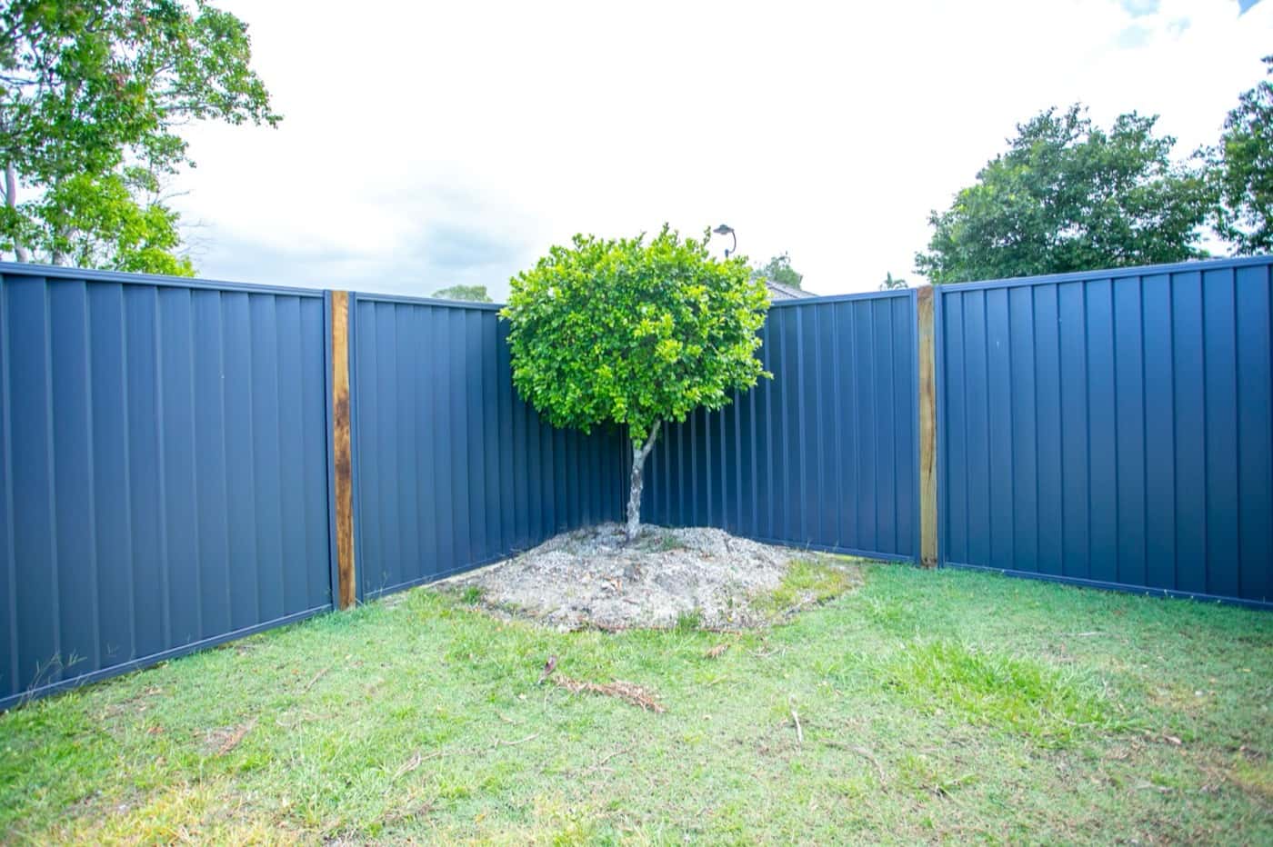 Blue Colorbond corner fence with timber posts around a lawn