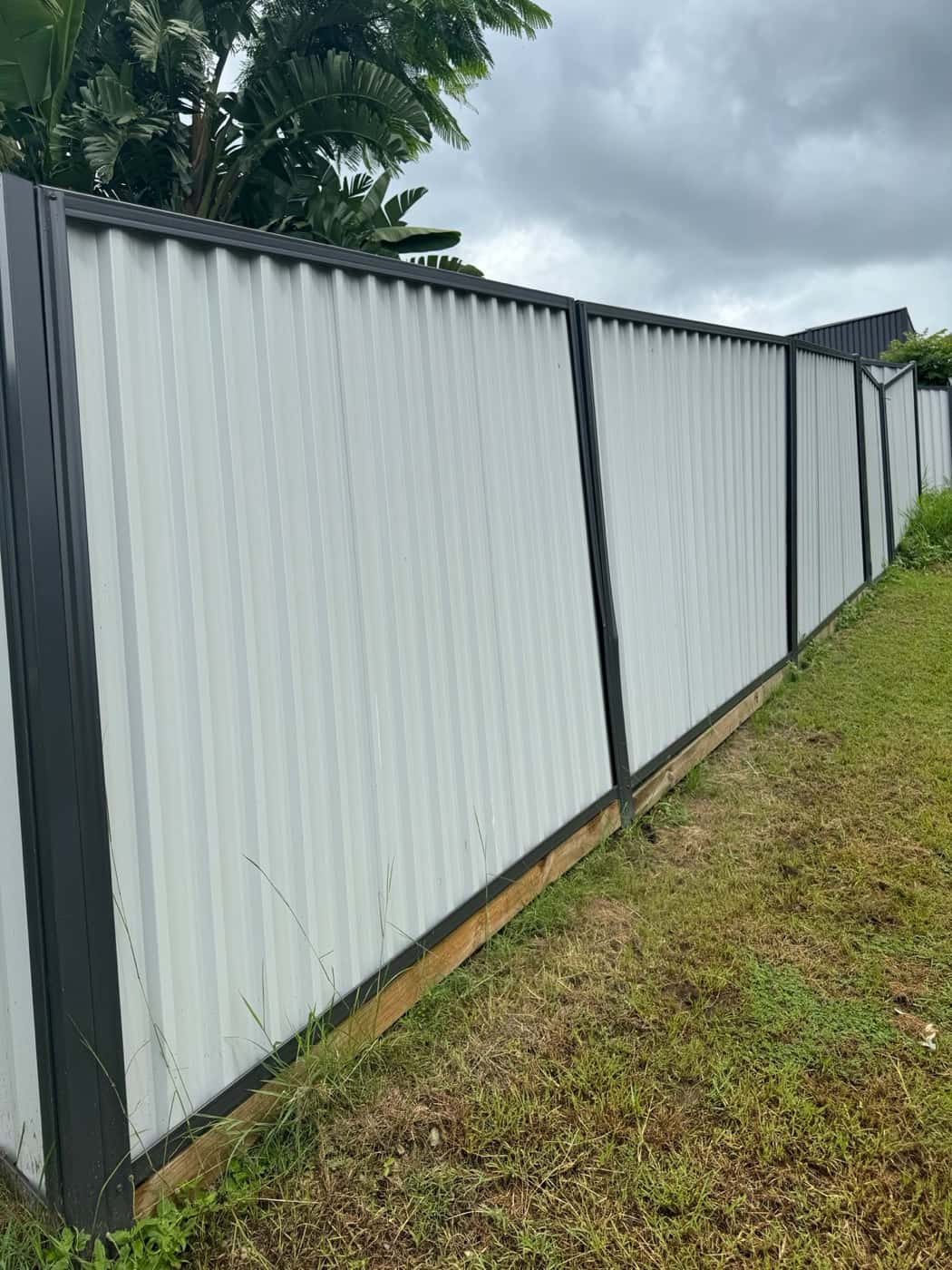 Two-tone Colorbond fence with dark posts and pale sheets