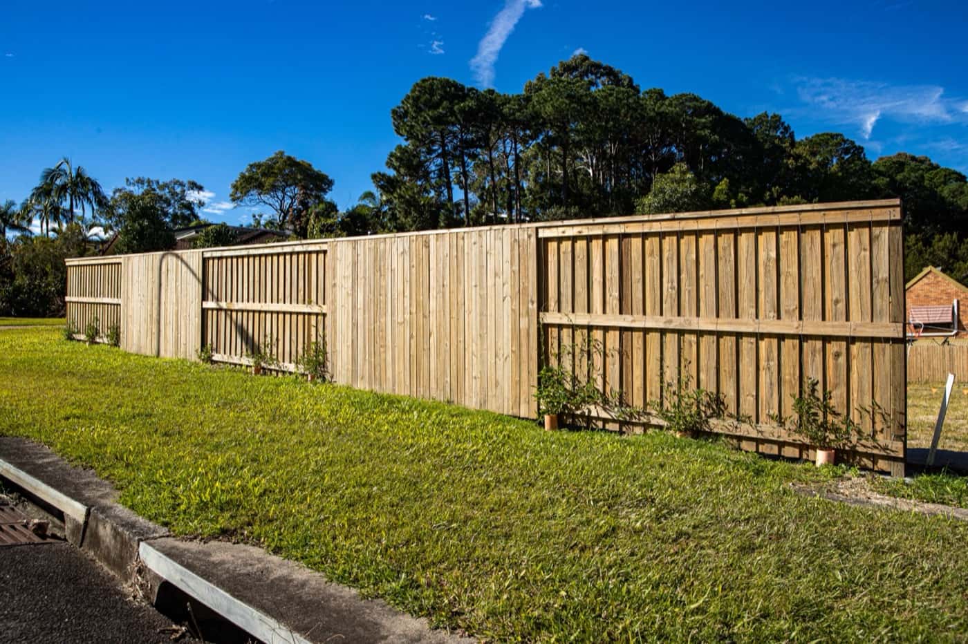 New lapped and capped timber paling fence along a lawn
